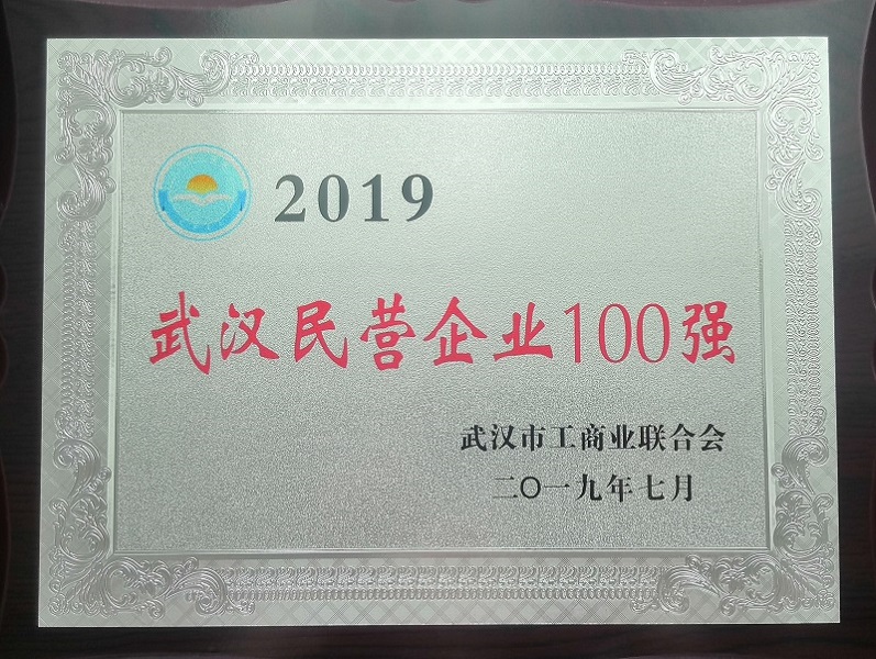 2019年武漢民營企業100強